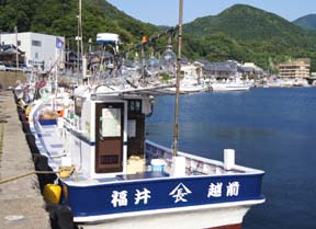 CJނ