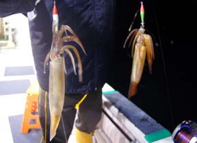 CJނ