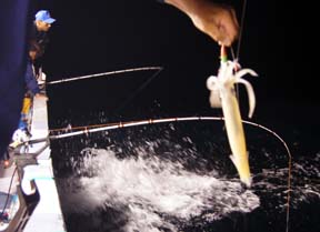 CJނ