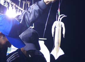 CJނ
